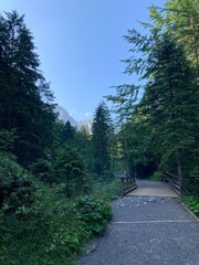 Obraz premium Sunny summer hiking path in the mountains. Rocky Mountain in the summer with trees and forest. Walking in the mountains and forest with blue sky. Summer travel hiking in Europe. 