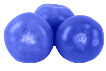 blue tomatoes toned in trendy Classic Blue color 