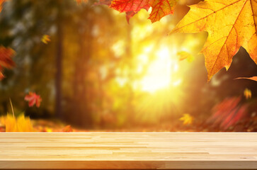 Naklejka na ściany i meble Autumn background and trees at falling season