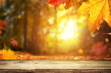 Naklejka na ściany i meble Autumn background and trees at falling season