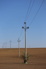 Fototapeta na wymiar electric transmission poles pass through the field. Power line