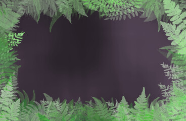 fern frame