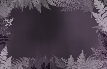 Obraz premium fern frame