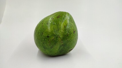 avocado white background 