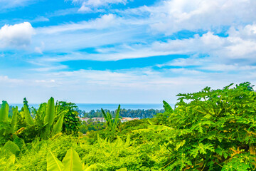 Beautiful natural landscape and tropical forest Phuket island Thailand.