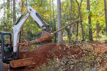 Fototapeta premium Trees that fell in street because of hurricane uprooted trees close to home with tractor had to lift trees up after they fell in streets