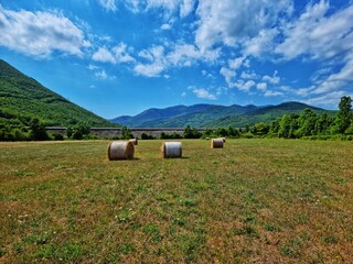 Bales in the field