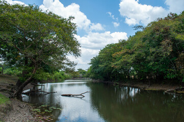 Rio Meraúba   na Amazônia. 