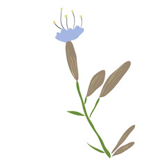 Wild Flower Icon. Hand Drawn Illustration