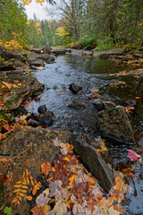 Landscape of small river flowing though a forest in fall colors, Parc de la Mauricie, Quebec