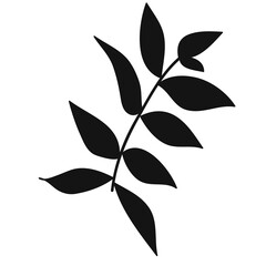 Leaf Silhouette Icon. Black Inked Illustration