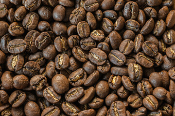 コーヒー豆　ペルーアルパカ