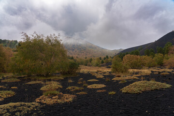 Vulkanlandschaft am Ätna - Etna Sizilien