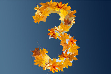 Obraz premium Number 3 of colorful autumn leaves. Cardinal number three mades of fall foliage. Autumnal design font concept. Seasonal decorative beautiful type mades from multi-colored leaves