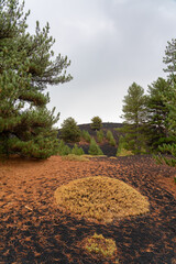 Vulkanlandschaft am Ätna - Etna Sizilien