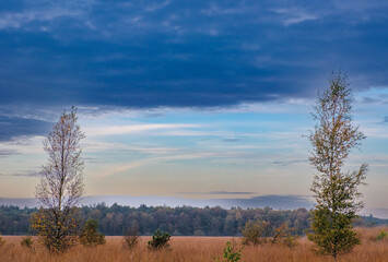 Nature reserve Holtingerveld, Drenthe province, The Netherlands Natuurgebied Holtingerveld