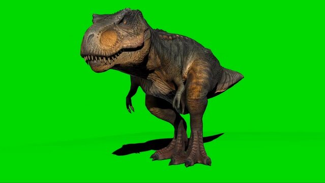 Dinosaur Videos: Download 76+ Free 4K & HD Stock Footage Clips