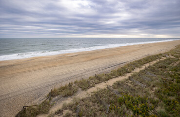 Fototapeta na wymiar Protected dune and beach