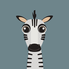 Doodle Style Flat Vector Cartoon Safari Animals. Zebra close-up portrait