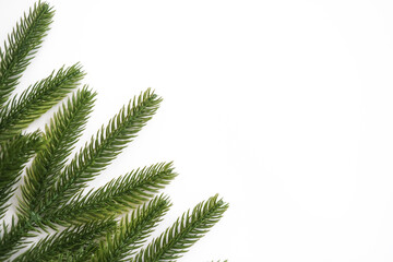 Background with  Christmas tree branches and space for text.Banner frame in rustic style. Space for text