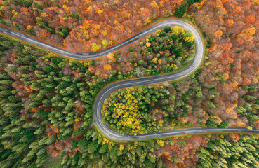 Winding road between the autumn forest - aerial view