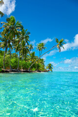 Exotic paradise Maldive resort lagoon bay view - 540320650