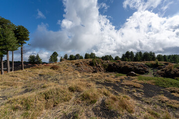 Obraz premium Vulkanlandschaft am Ätna (Etna) Sizilien