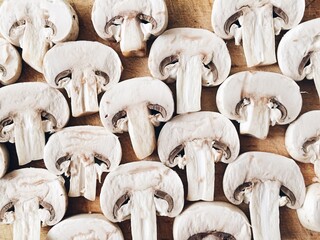 close up of mushrooms