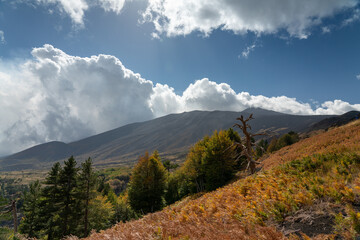 Etna - Ätna Landschaft Sizilien am Vulkan