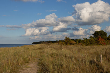Beautiful coastal path by the Baltic Sea.