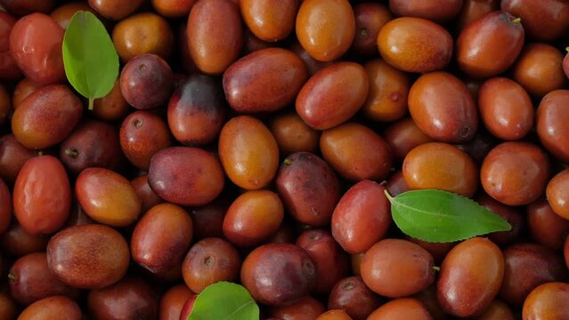 Ripe Ziziphus jujuba fruits with leaves. Chinese date fruits background rotating. Unabi common or Yuyuba Chinese - exotic fruits of jujube tree, closeup, slow motion, flat lay