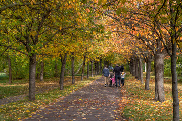 Spaziergänger Kirschenallee Herbst