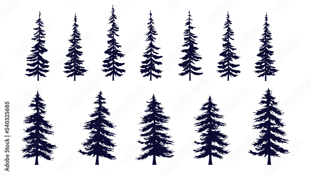 Poster coniferous vector tree collection - set of various trees on white background