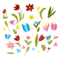 Set of hand drawn shapes and doodle design elements. Exotic flowers and plants. Abstract contemporary modern trendy vector illustration. Perfect for posters