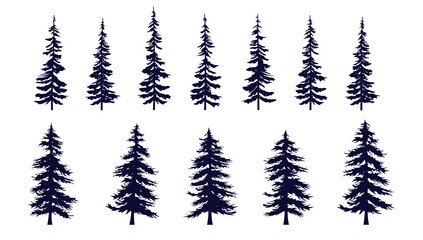 Coniferous vector tree collection - Set of various trees on white background