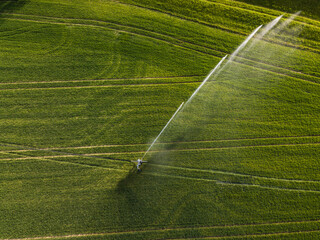 Farmland from above - aerial image of a lush green field being irrigated
