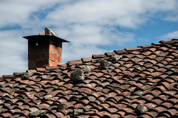 Roof of old country house from weathered aged clay tiles closeup