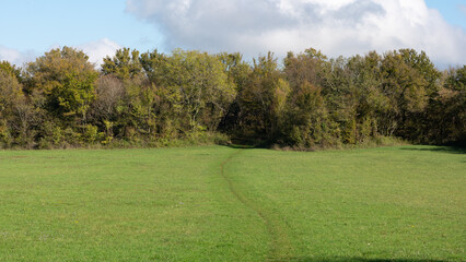 Plateau de Cita, Natura 2000