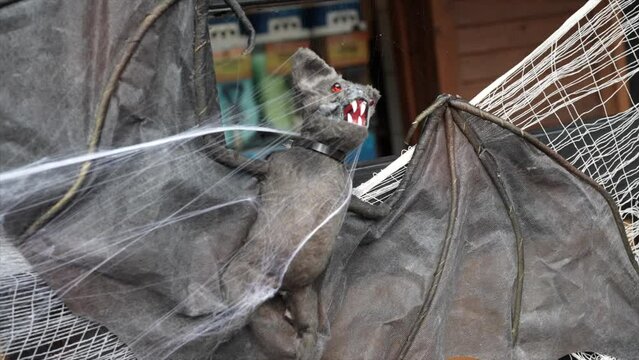 Helloween bat, helloween party, Plecotus auritus