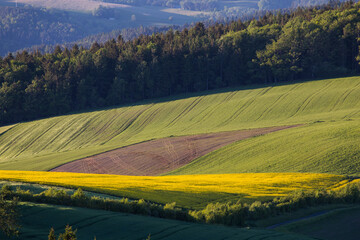 Obraz premium Agricultural landsape wih farmland in Austria