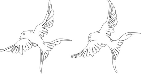 Vector silhouette of a bird drawn in one line. Bird. Flight. Martin. Tattoo. One line drawing. Minimalism. Nature.