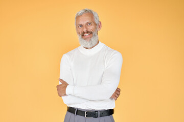 Happy mature older gray-haired business man, smiling stylish cool middle aged old senior bearded...