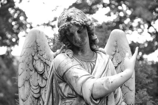 Ange &agrave; l'&eacute;toile