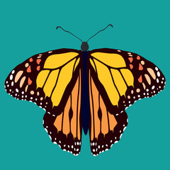 Monarch butterflies set. Vector illustration isolated on blue background