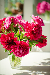 red peonies in the vase