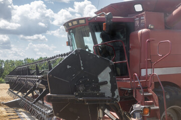 Obraz premium Summer. Harvester. Harvesting in a wheat field