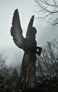 ange en envol