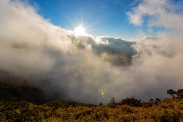 Naklejka premium Sunset beautiful landscape of Sea of clouds over Hehuanshan