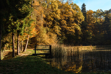 Jesienny las, pomost i jezioro