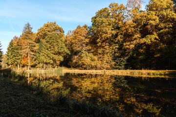 Jesieny krajobraz - jezioro w lesie